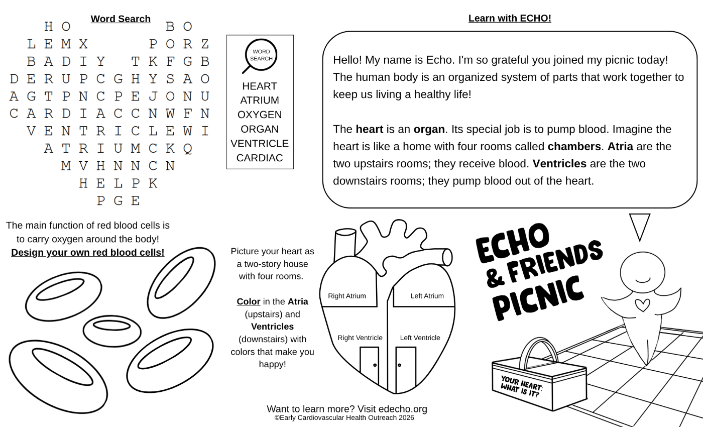 Echo and Friends Picnic Placemat