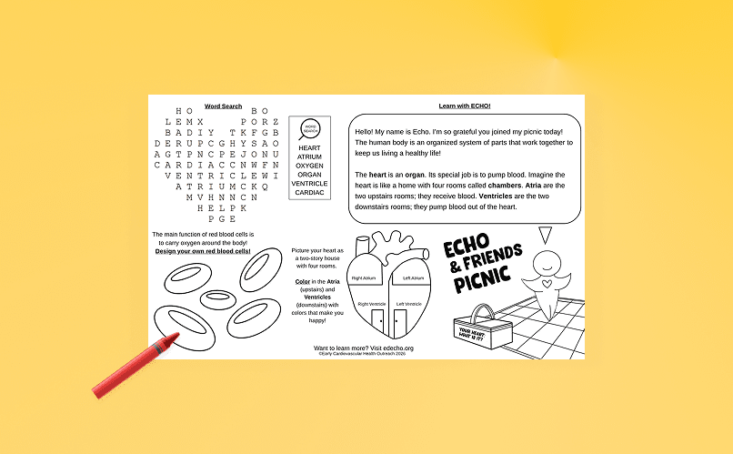 Echo and Friends Picnic Placemat